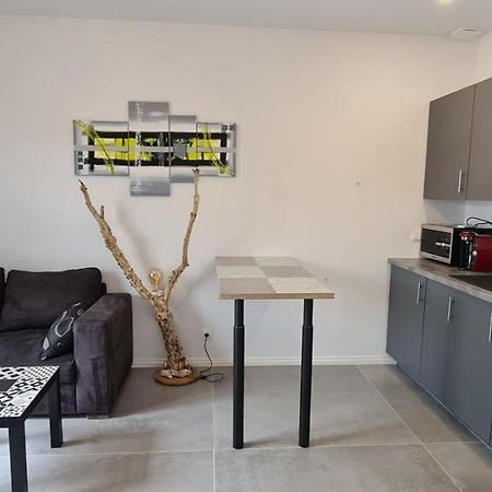 Logement Au Calme Sur Le Bassin D Arcachon Villa Le Teich Esterno foto