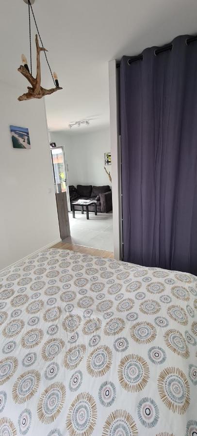 Logement Au Calme Sur Le Bassin D Arcachon Villa Le Teich Esterno foto
